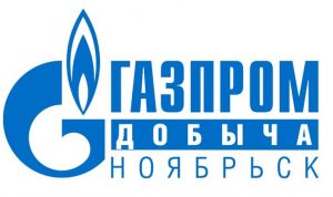 Логотип - ООО «Газпром добыча Ноябрьск»